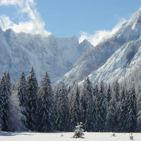 Guest house Tempfer 2 & With New Wellness Kranjska Gora