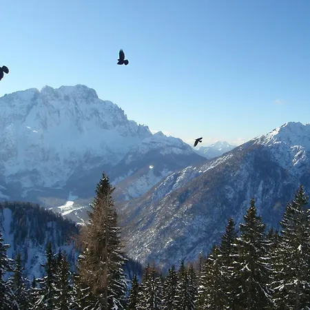 Guest house Tempfer 2 & With New Wellness