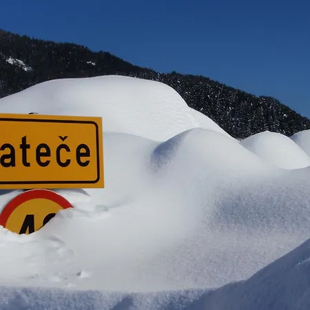 Guest house Tempfer 2 & With New Wellness Kranjska Gora