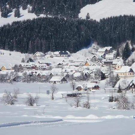 Tempfer 2 & With New Wellness