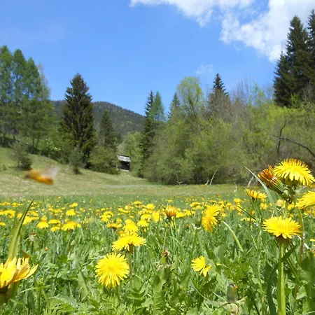 Guest house Tempfer 2 & With New Wellness