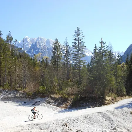 Tempfer 2 & With New Wellness