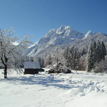 Tempfer 2 & With New Wellness