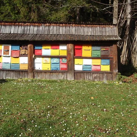 Guest house Tempfer 2 & With New Wellness