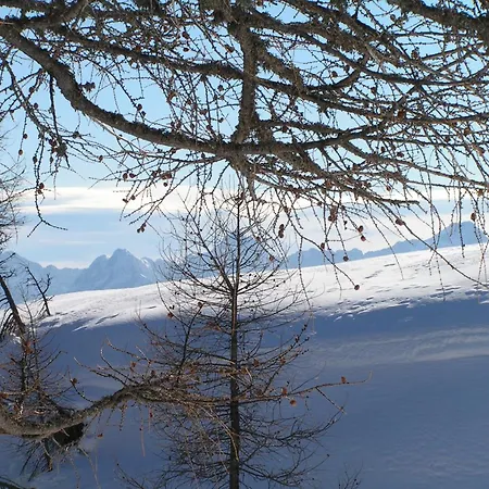 Guest house Tempfer 2 & With New Wellness Kranjska Gora