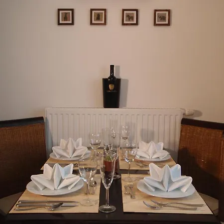 Tempfer 2 & With New Wellness 4*