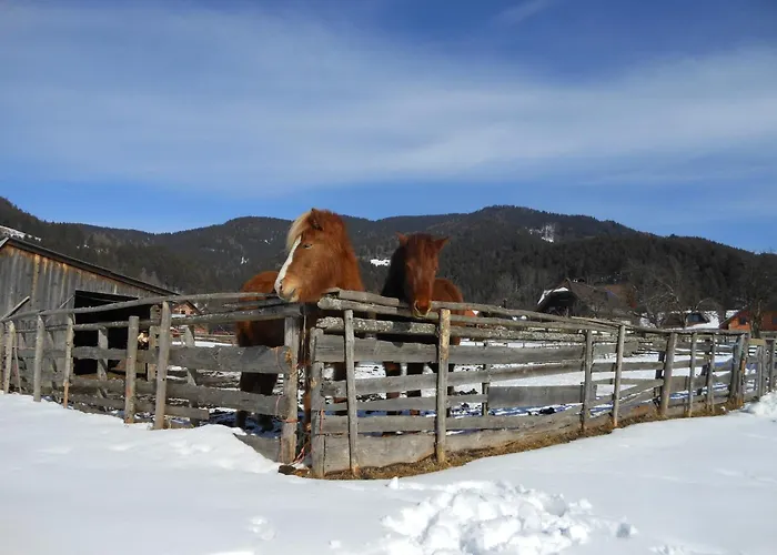 게스트하우스 Tempfer 2 & With New Wellness