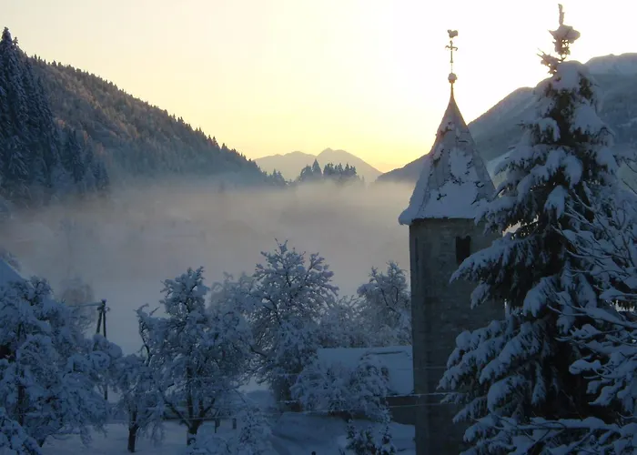 Tempfer 2 & With New Wellness