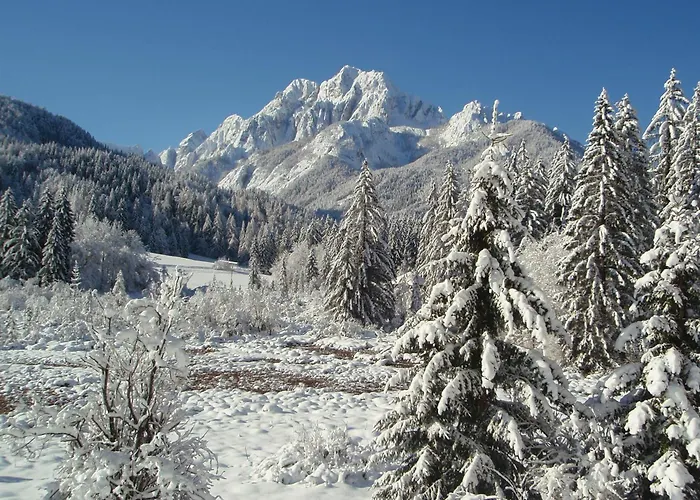 게스트하우스 Tempfer 2 & With New Wellness 4*