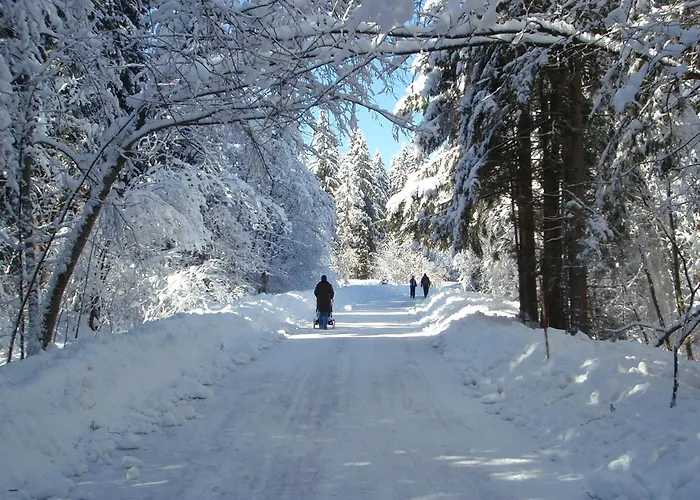 게스트하우스 Tempfer 2 & With New Wellness