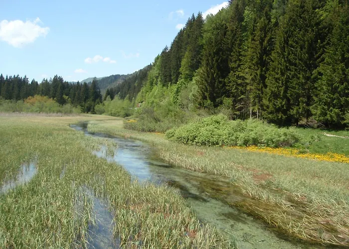 게스트하우스 Tempfer 2 & With New Wellness