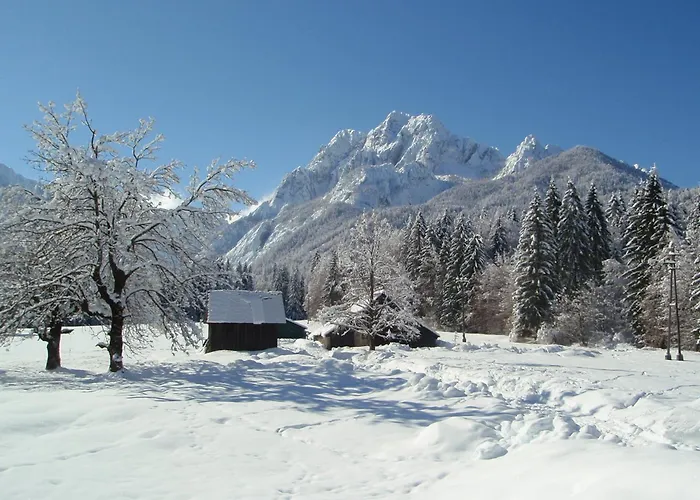 Tempfer 2 & With New Wellness