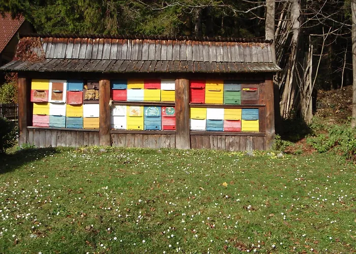 게스트하우스 Tempfer 2 & With New Wellness