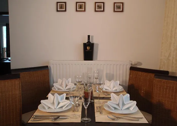 Tempfer 2 & With New Wellness 4*