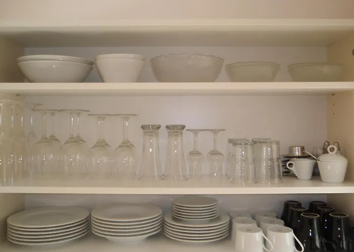 Tempfer 2 & With New Wellness 크라니스카고라