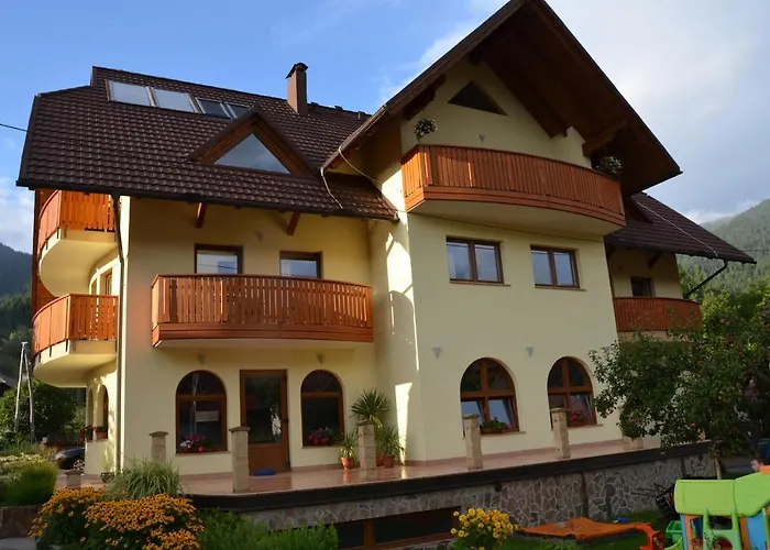 Tempfer 2 & With New Wellness 게스트하우스