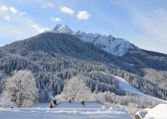 게스트하우스 Tempfer 2 & With New Wellness