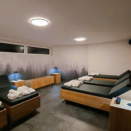 Tempfer 2 & With New Wellness 4* Kranjska Gora