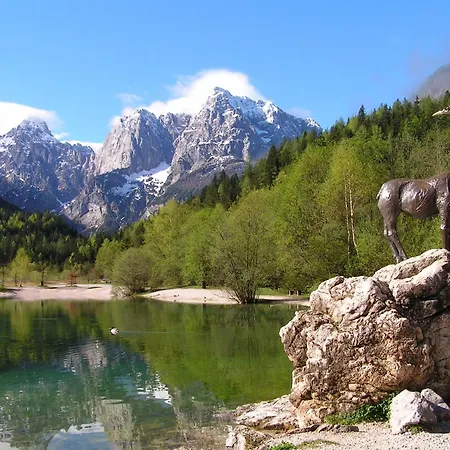 Affittacamere T E M P F E R 2 & With New Wellness Kranjska Gora