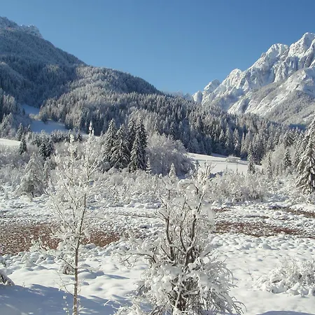 Affittacamere T E M P F E R 2 & With New Wellness Kranjska Gora