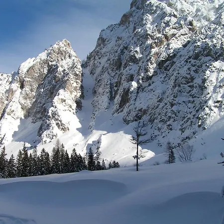 Tempfer 2 & With New Wellness