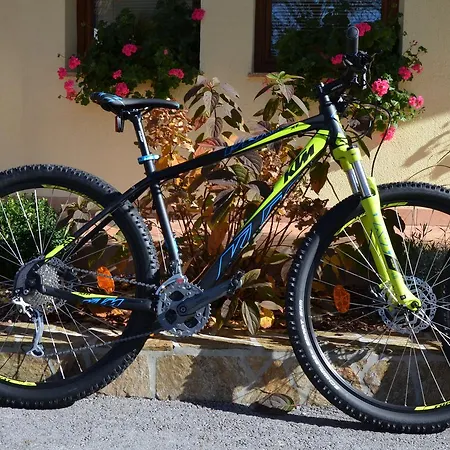 Pensjonat Tempfer 2 & With New Wellness Kranjska Gora