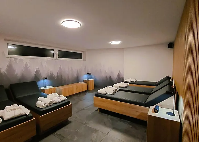 Tempfer 2 & With New Wellness 4* Kranjska Gora