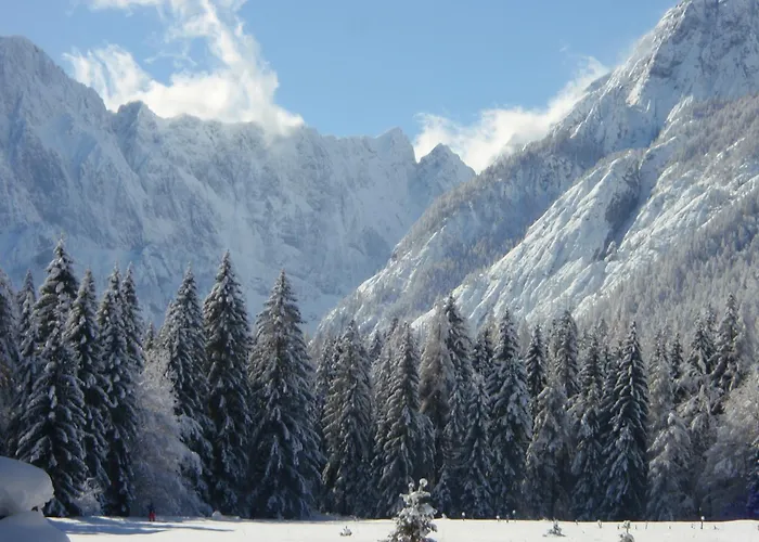 Hiša za goste Tempfer 2 & With New Wellness Kranjska Gora