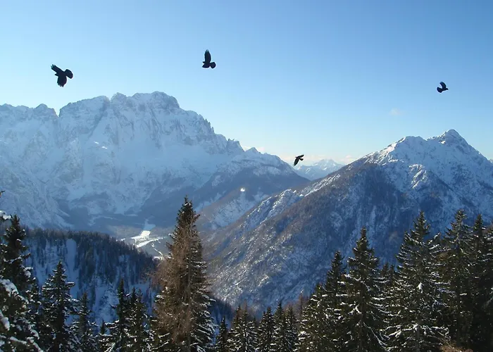 Hiša za goste Tempfer 2 & With New Wellness