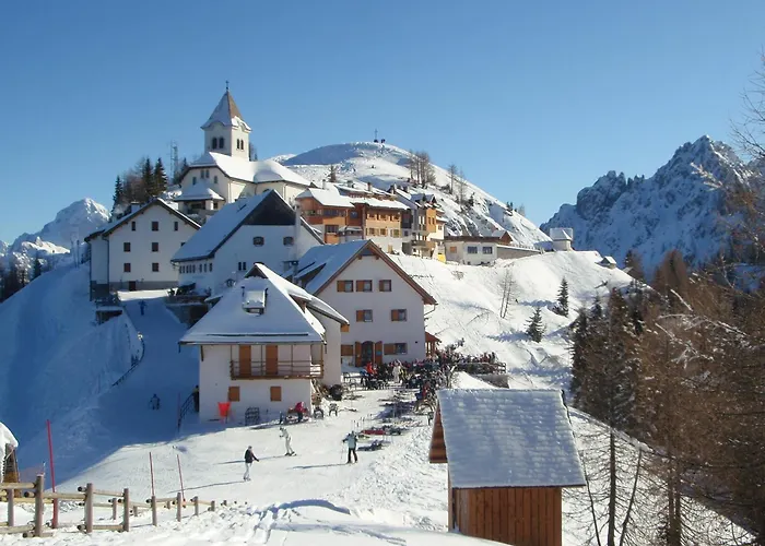 Tempfer 2 & With New Wellness