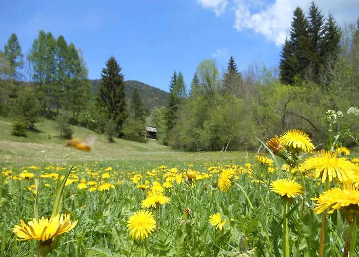 Hiša za goste Tempfer 2 & With New Wellness