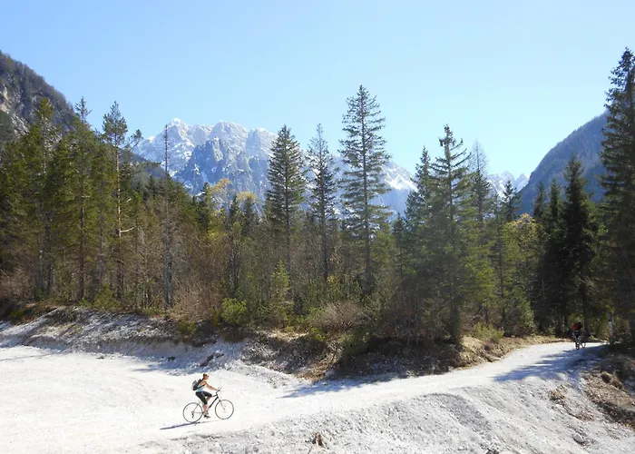 Tempfer 2 & With New Wellness