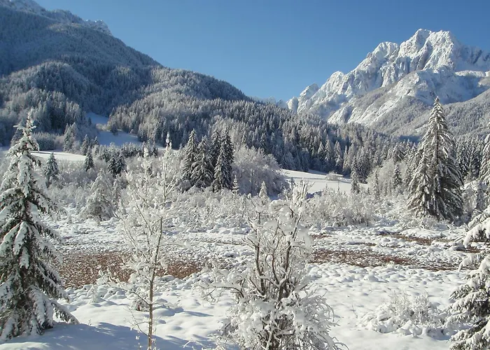 Hiša za goste Tempfer 2 & With New Wellness Kranjska Gora