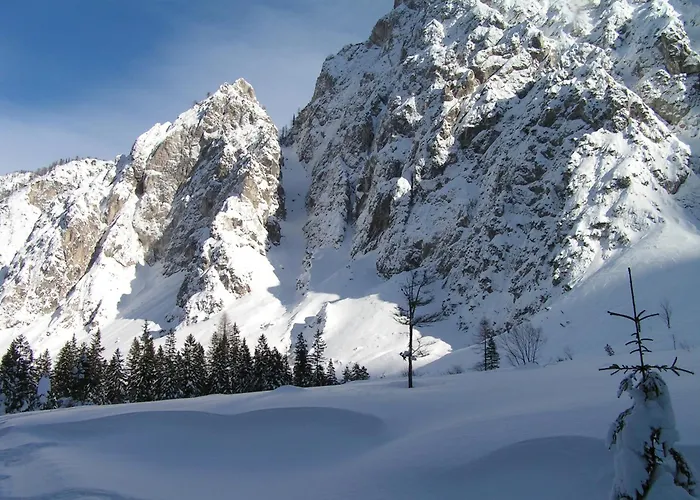 Tempfer 2 & With New Wellness