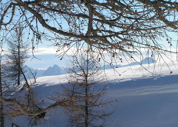 Hiša za goste Tempfer 2 & With New Wellness Kranjska Gora