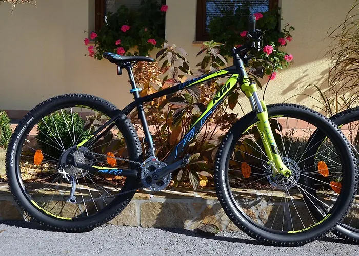 Hiša za goste Tempfer 2 & With New Wellness Kranjska Gora