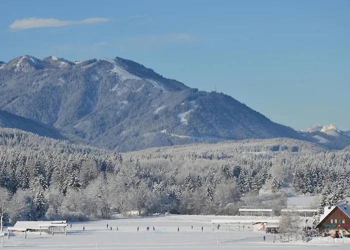 Tempfer 2 & With New Wellness 4*